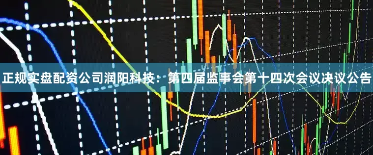 正规实盘配资公司润阳科技：第四届监事会第十四次会议决议公告