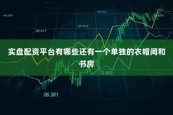 实盘配资平台有哪些还有一个单独的衣帽间和书房