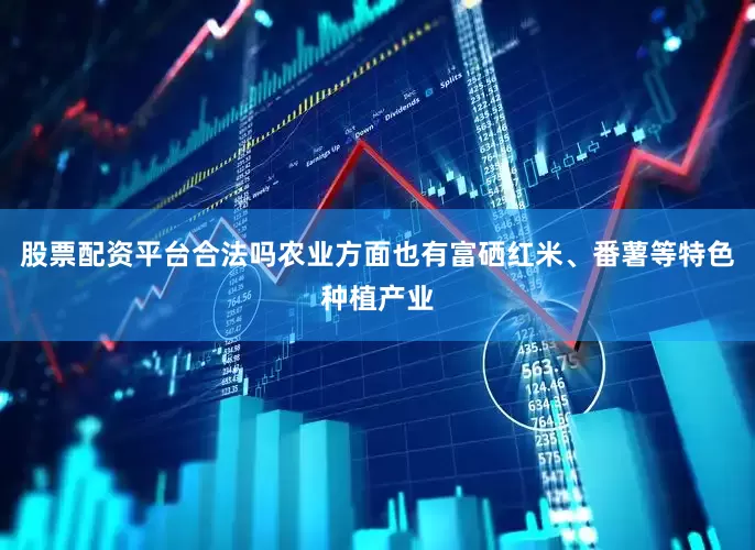 股票配资平台合法吗农业方面也有富硒红米、番薯等特色种植产业