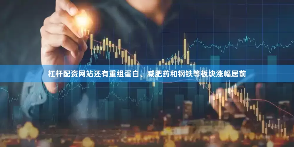 杠杆配资网站还有重组蛋白、减肥药和钢铁等板块涨幅居前
