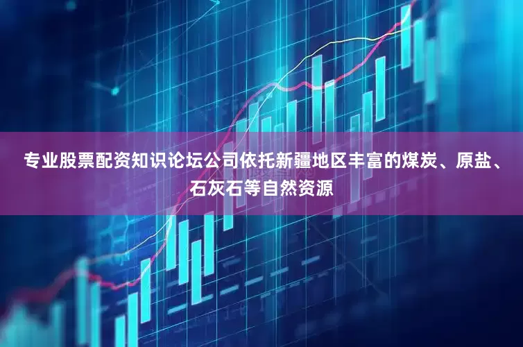 专业股票配资知识论坛公司依托新疆地区丰富的煤炭、原盐、石灰石等自然资源